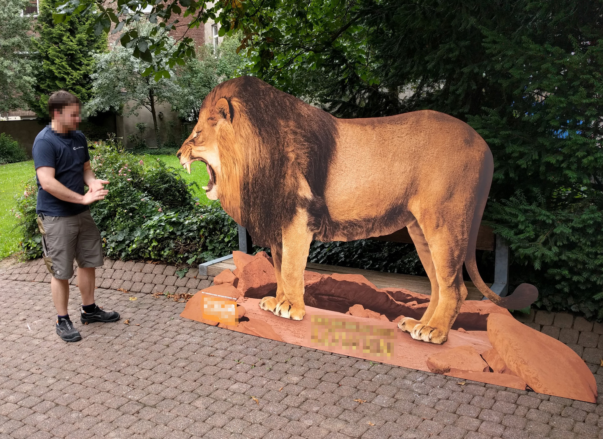 3 x 2 Meter Löwe aus einer Alu-Verbundplatte